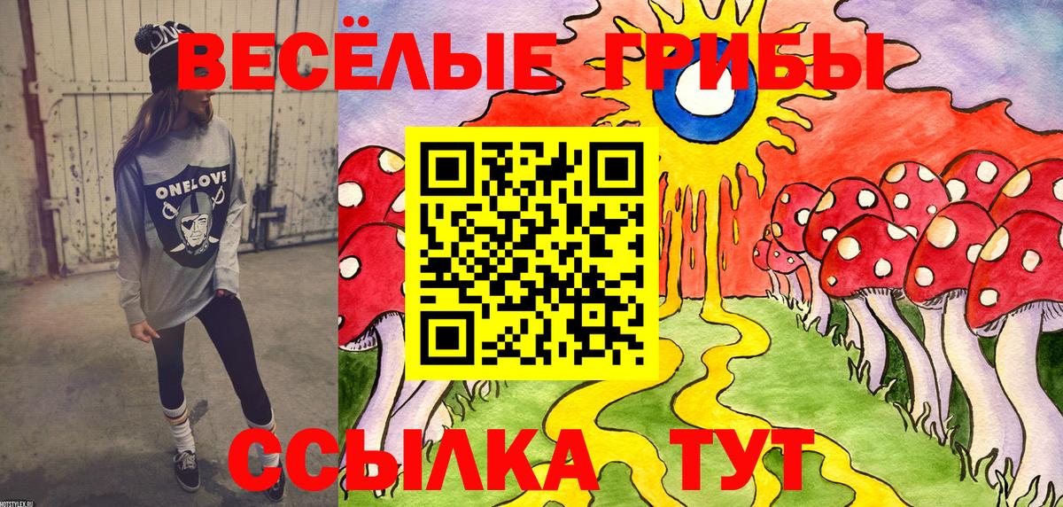 Псилоцибиновые грибы Cubensis Камышлов