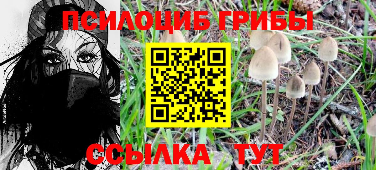 Камышлов  Псилоцибиновые грибы Psilocybe  где продают   Вход с VPN 